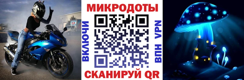 Псилоцибиновые грибы Psilocybe  Верхняя Салда 